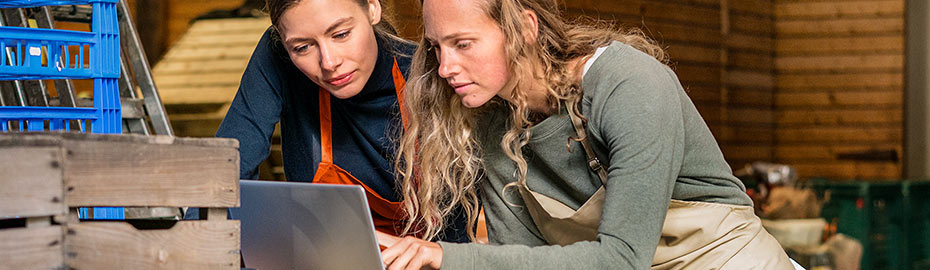 Online Banking Firmenkunden Volksbank Raiffeisenbank Furstenfeldbruck Eg